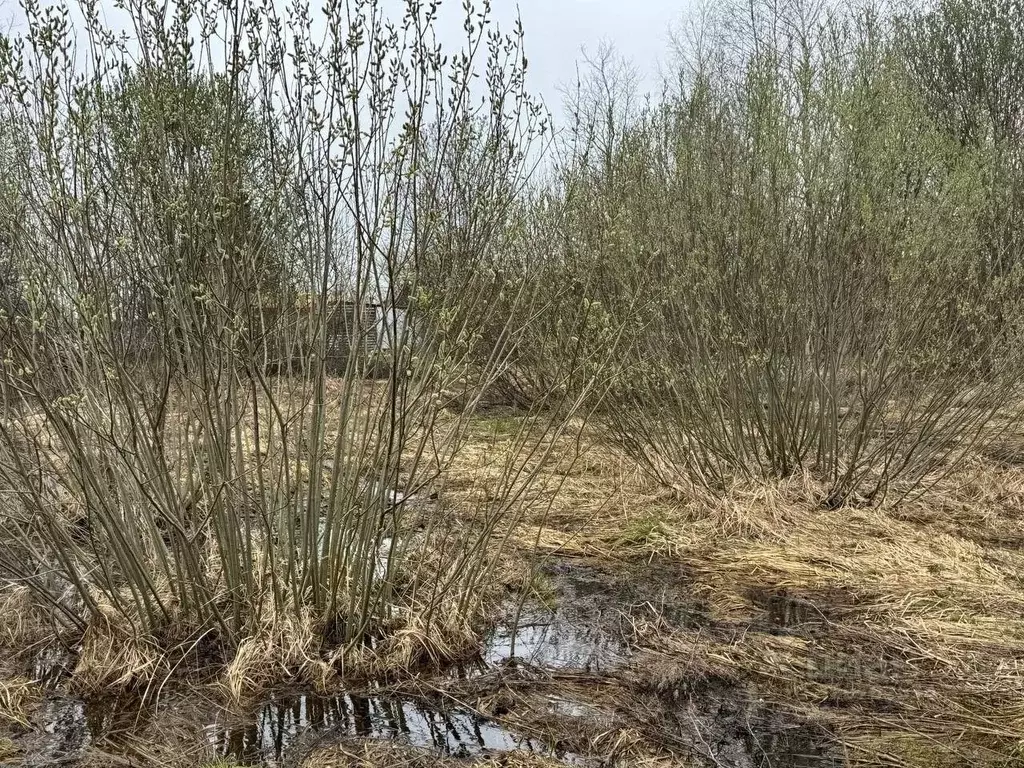 Участок в Московская область, Богородский городской округ, д. Старые ... - Фото 2