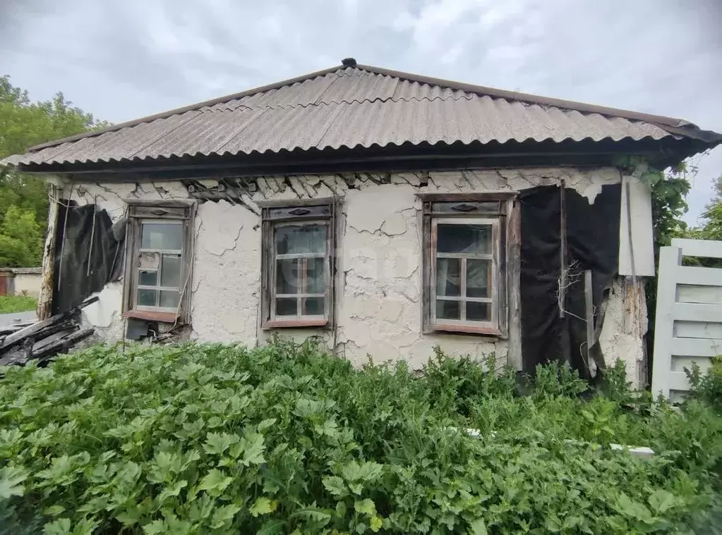 Дом в Белгородская область, Красногвардейский район, Верхнепокровское ... - Фото 1