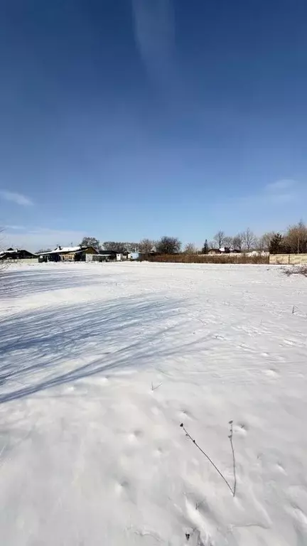 Участок в Приморский край, Уссурийский городской округ, с. Борисовка ... - Фото 1