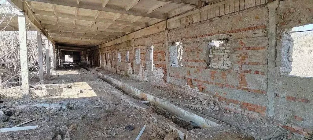 Производственное помещение в Оренбургская область, Курманаевский ... - Фото 0