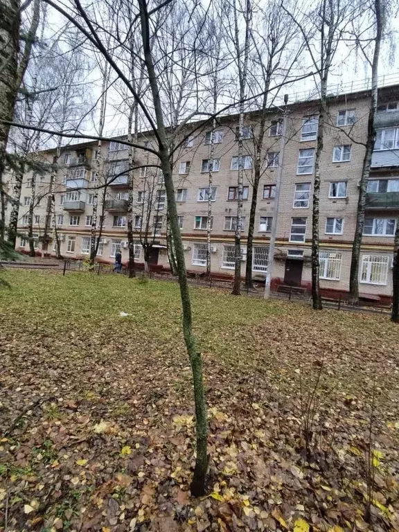 1-к кв. Московская область, Дедовск Истра городской округ, ул. ... - Фото 0