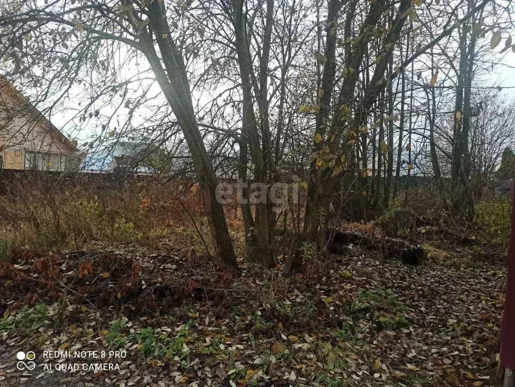 Участок в Московская область, Чехов городской округ, Надежда СНТ 83 ... - Фото 1