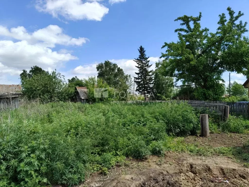 Участок в Алтайский край, Барнаул городской округ, пос. Бельмесево ул. ... - Фото 0