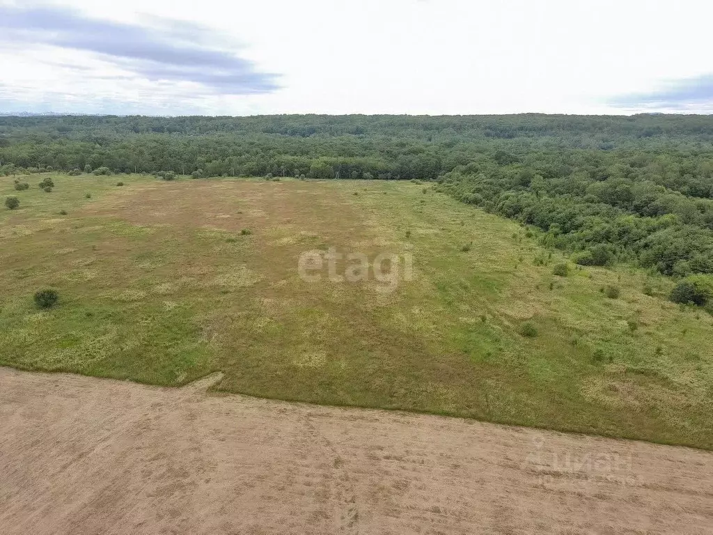 Участок в Хабаровский край, Хабаровский район, Осиновореченское с/пос, ... - Фото 2