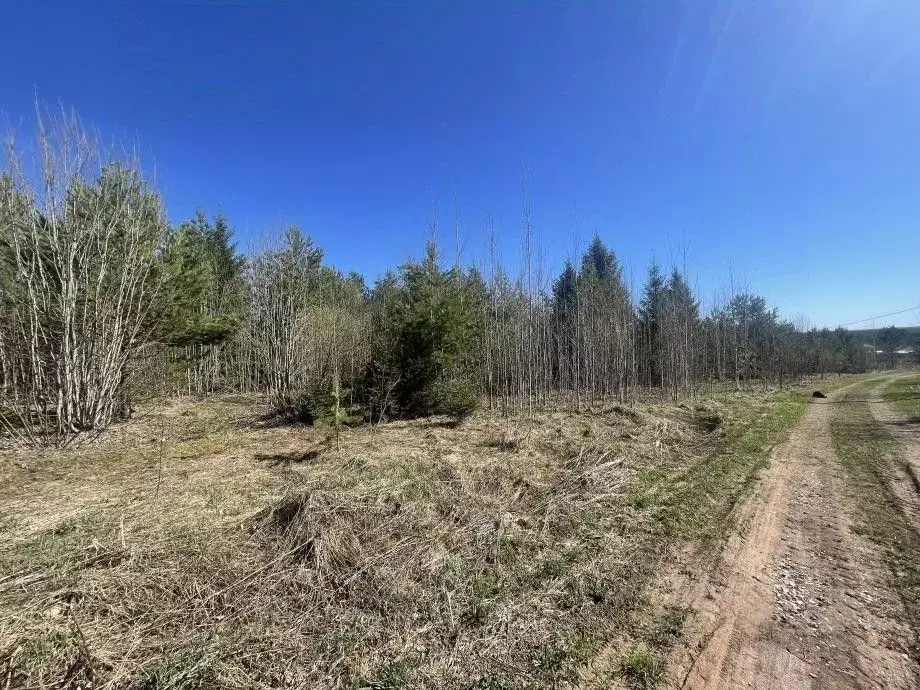 Участок в Пермский край, Березники муниципальный округ, с. Романово ... - Фото 2