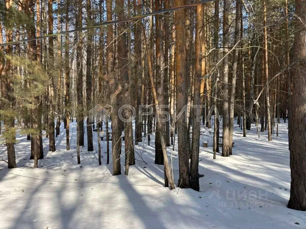 Участок в Тюменская область, Тюменский район, д. Нариманова ... - Фото 1