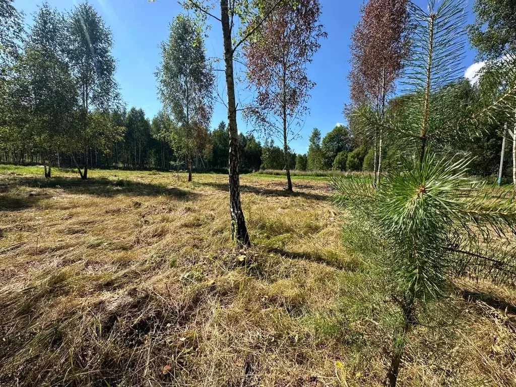 Участок в Московская область, Домодедово  (5.05 сот.) - Фото 1