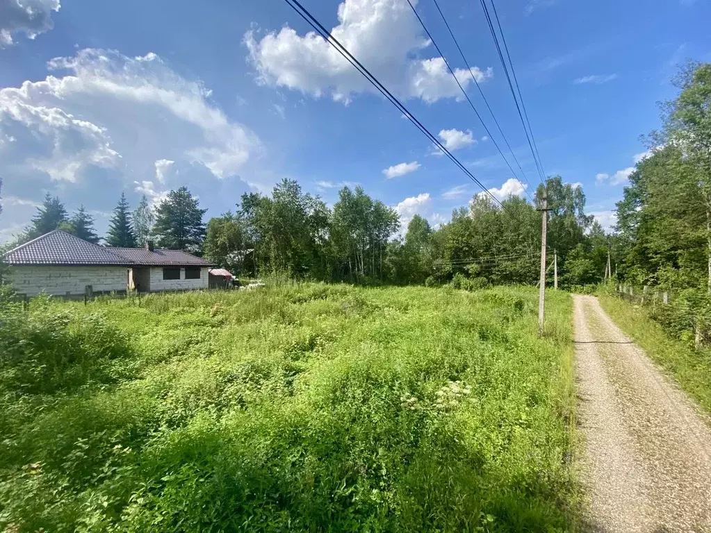 Участок в Владимирская область, Александровский муниципальный округ, ... - Фото 1