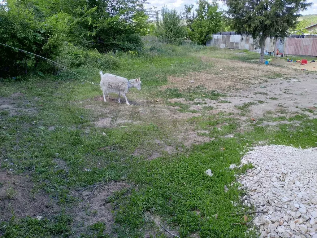 Участок 6 сот. (СНТ, ДНП) - Фото 1