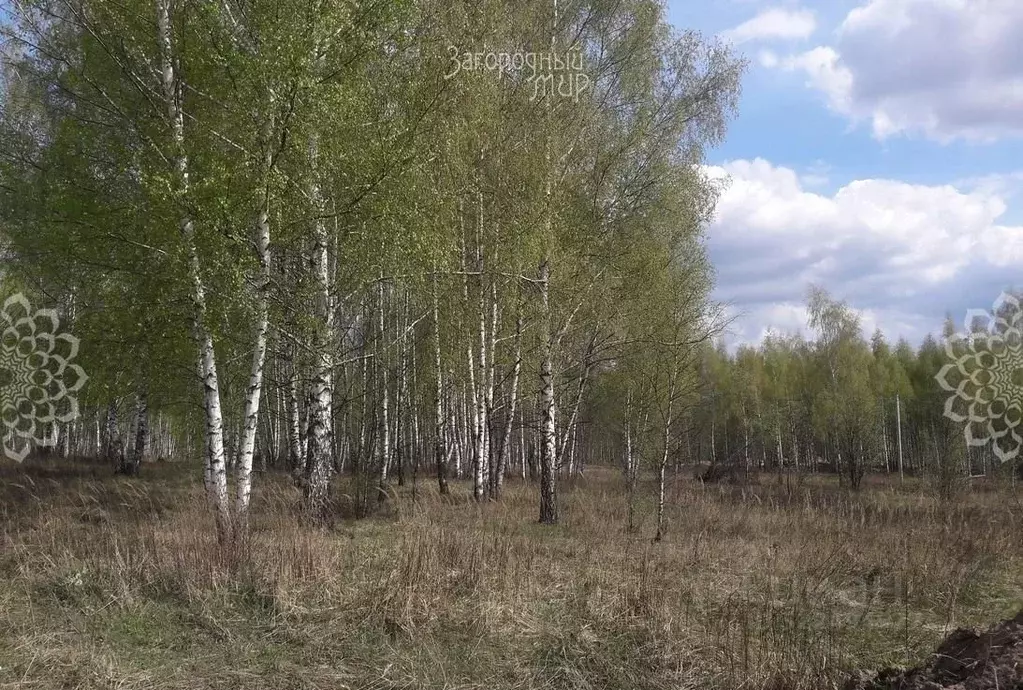 Участок в Московская область, Богородский городской округ, Обухово пгт ... - Фото 1