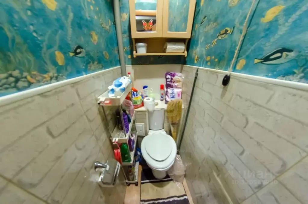 2-к кв. Курганская область, Шадринск ул. Гагарина, 6 (31.3 м) - Фото 1