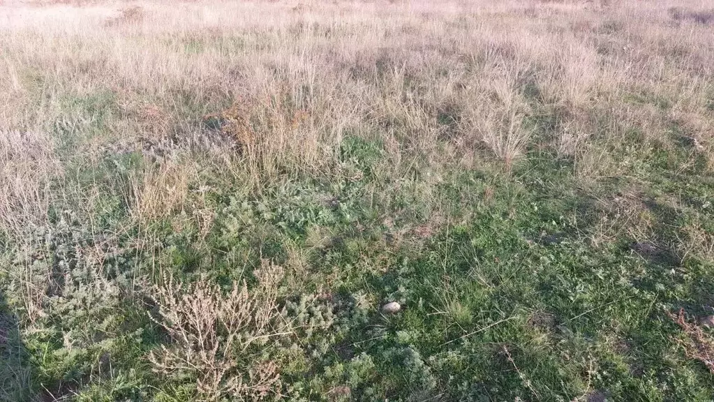 Участок в Крым, Кировский район, Первомайское с/пос, с. Ключевое ул. ... - Фото 1