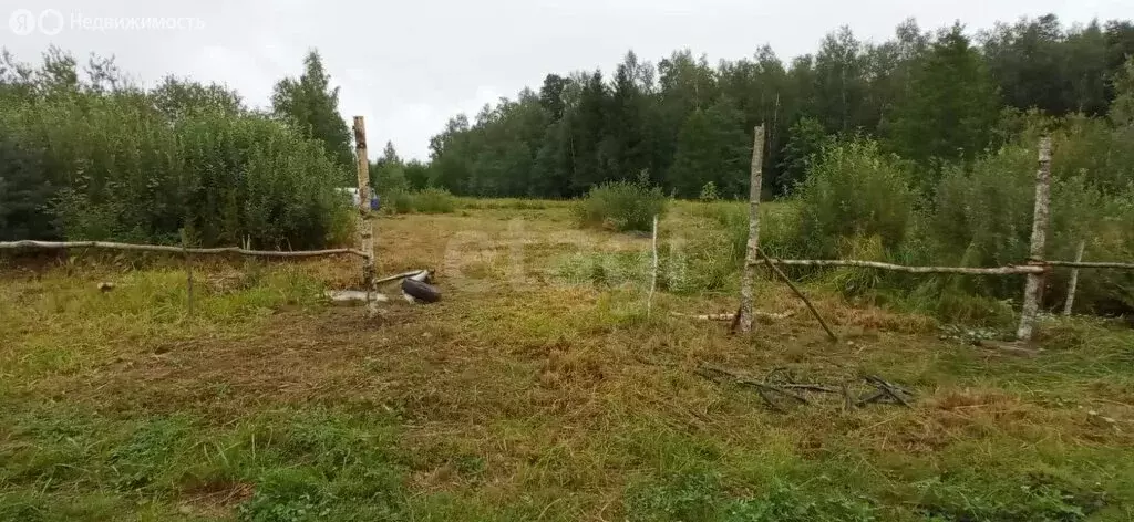 Участок в Кусинское сельское поселение, садоводческое товарищество ... - Фото 0