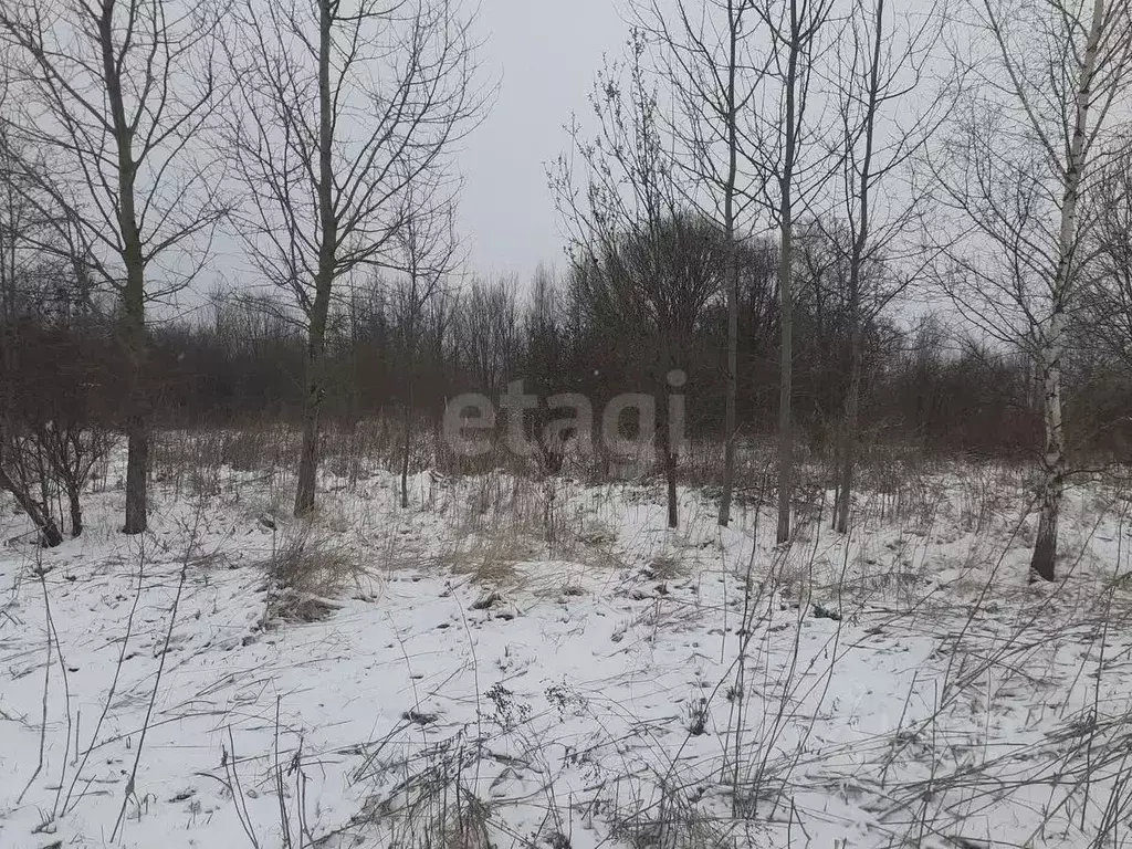 Участок в Смоленская область, Смоленский муниципальный округ, Урожай ... - Фото 2