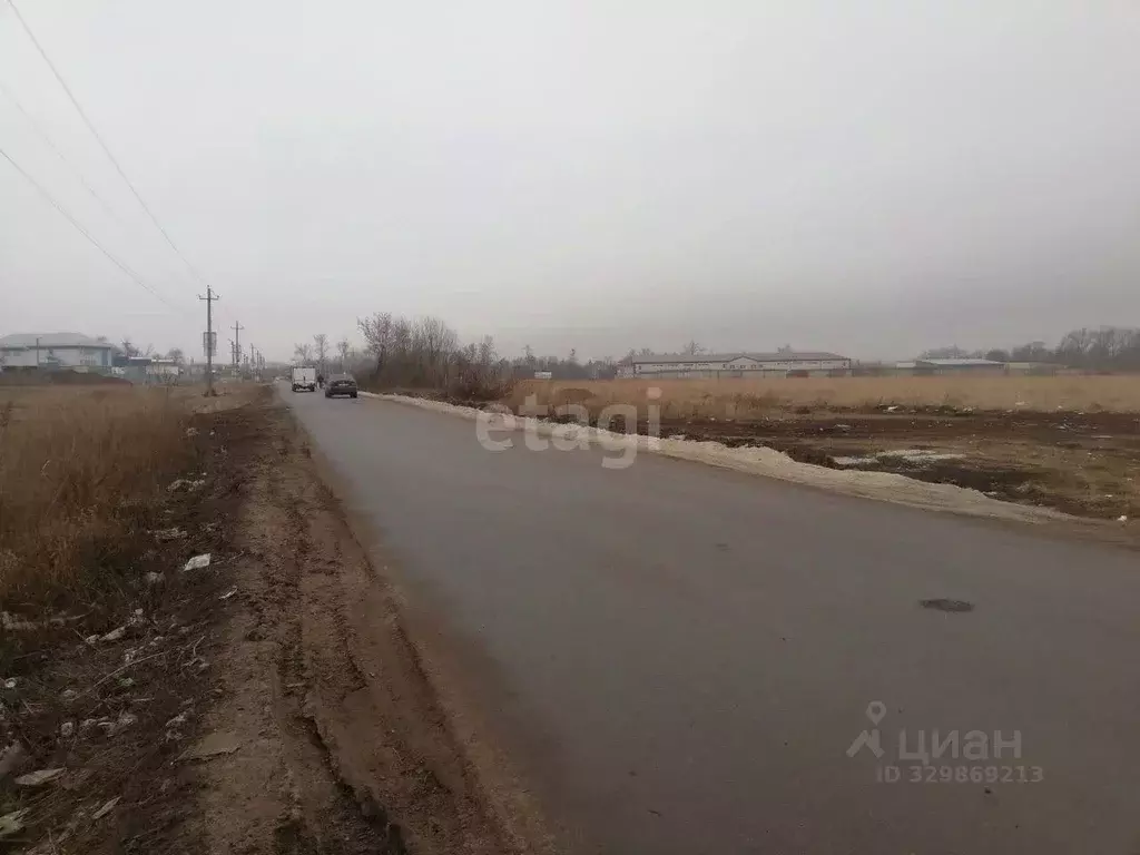 Участок в Курская область, Курский район, Новопоселеновский сельсовет, ... - Фото 1
