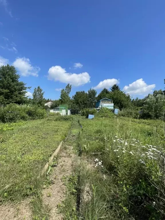Участок в Хабаровский край, Хабаровский район, с. Сергеевка  (8.0 ... - Фото 2