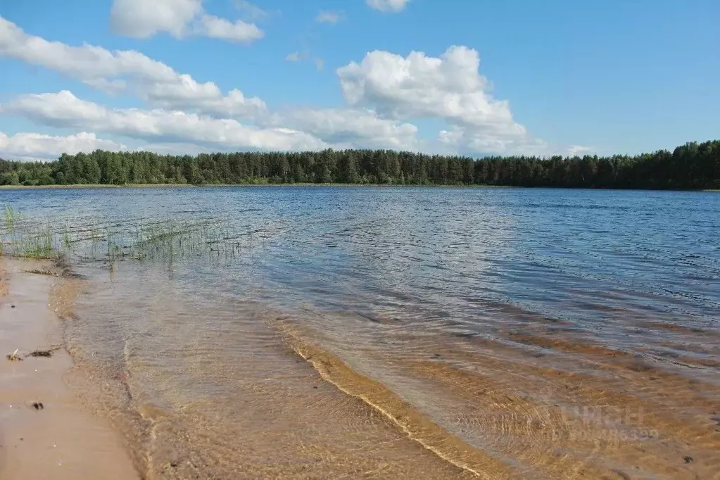 Участок в Псковская область, Гдовский муниципальный округ, д. Озера  ... - Фото 1