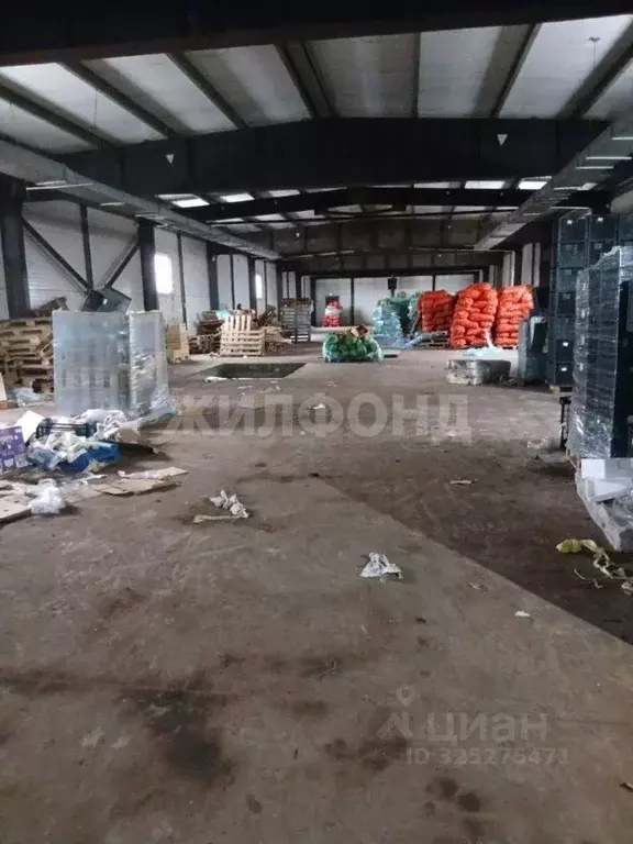 Помещение свободного назначения в Новосибирская область, Новосибирск ... - Фото 1