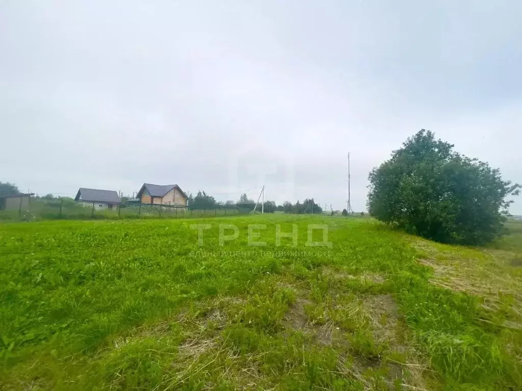 Участок в Ленинградская область, Ломоносовский район, Ропшинское ... - Фото 1