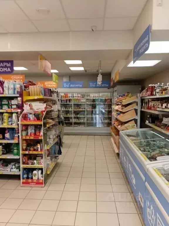 Торговая площадь в Свердловская область, Нижняя Салда ул. Карла ... - Фото 2