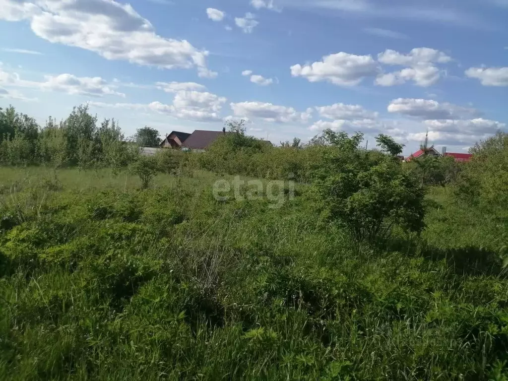 Участок в Воронежская область, Новоусманский район, ... - Фото 0