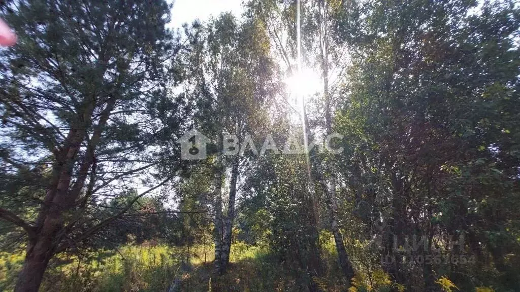 Участок в Владимирская область, Судогодский район, Лавровское ... - Фото 0