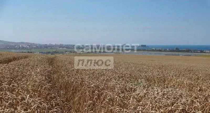 Участок в Краснодарский край, Анапа муниципальный округ, Красный хут. ... - Фото 2