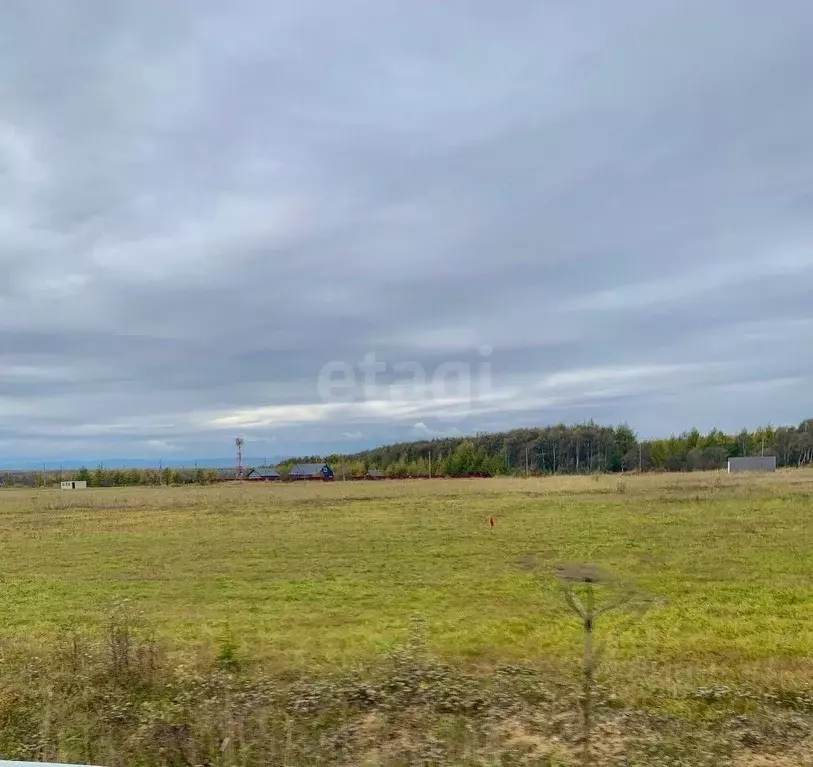 Участок в Сахалинская область, Анивский городской округ, с. Мицулевка  ... - Фото 1