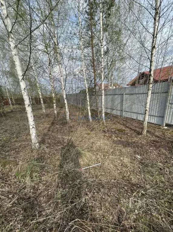 Участок в Нижегородская область, Богородский муниципальный округ, д. ... - Фото 2