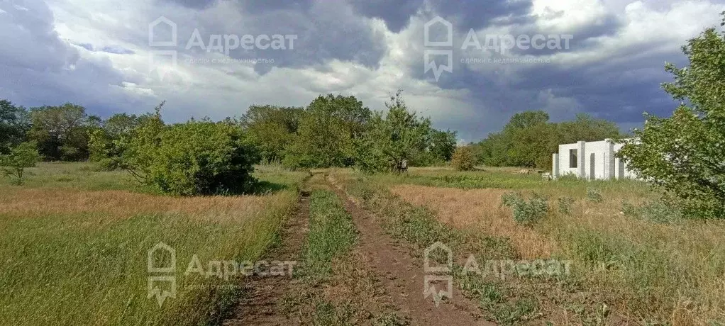 Участок в Волгоградская область, Краснослободск Среднеахтубинский ... - Фото 2