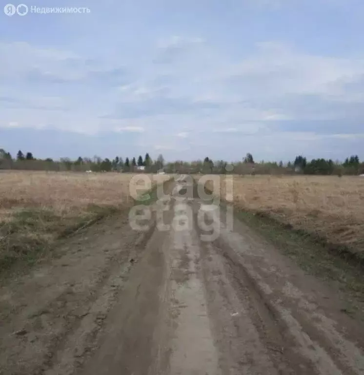 Участок в Колыванский район, ДНТ Союз силовых структур Родины (6 м) - Фото 1