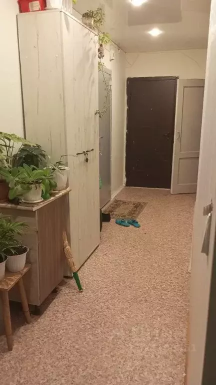 Комната Саратовская область, Саратов ул. Имени А.П. Шехурдина, 36 ... - Фото 1