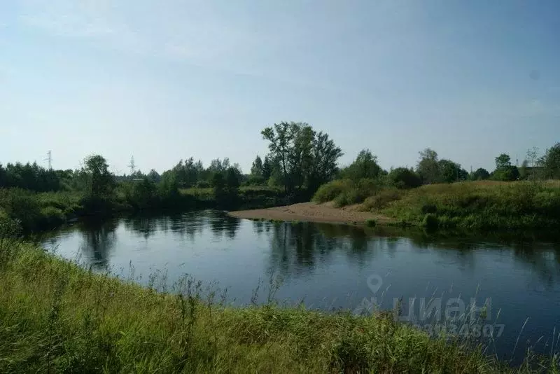 Участок в Тверская область, Западная Двина Сельская ул., 14 (10.0 ... - Фото 1