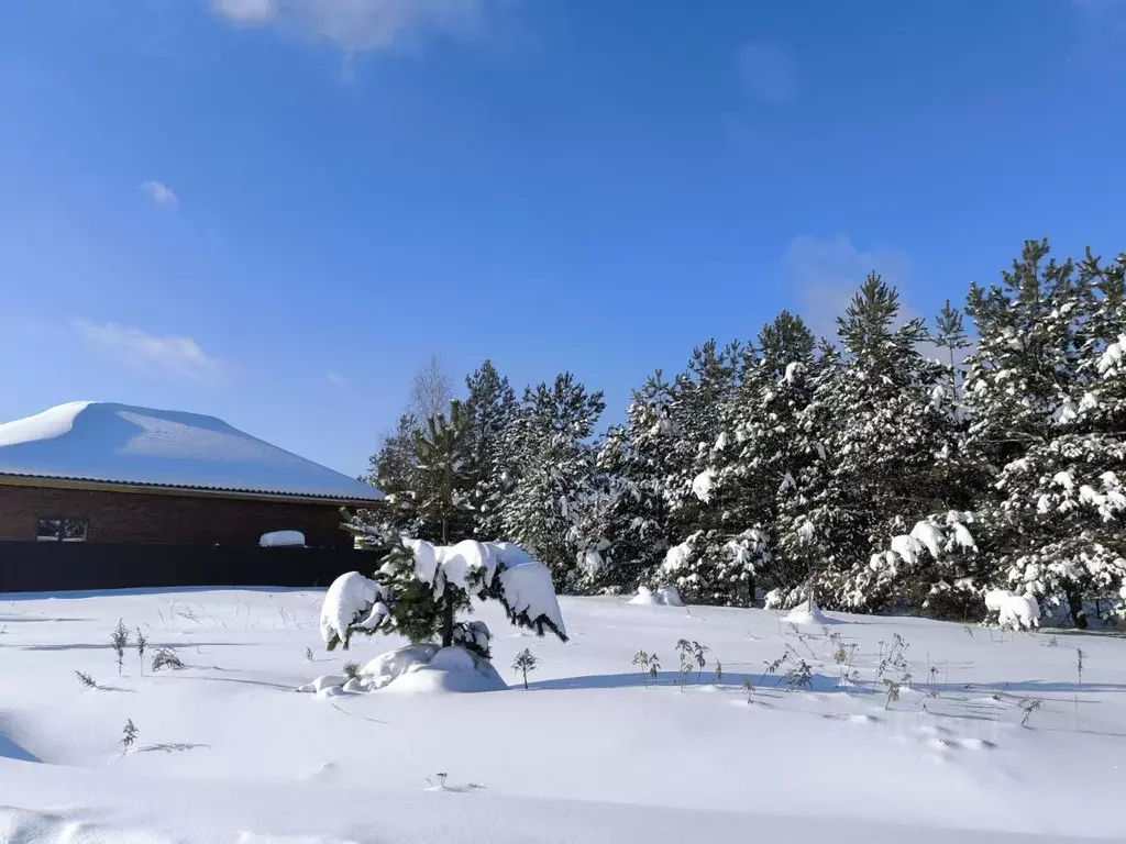Участок в Московская область, Раменский муниципальный округ, с. Речицы ... - Фото 1