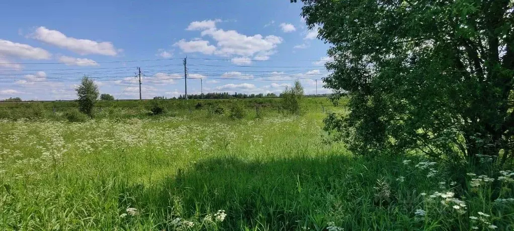 Участок в Московская область, Солнечногорск городской округ, д. ... - Фото 0