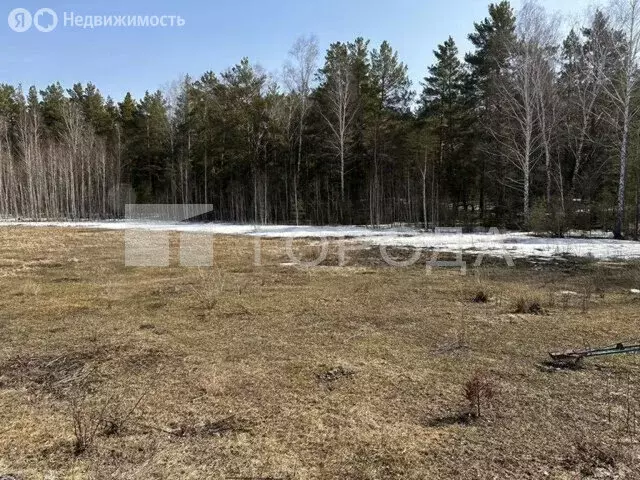 Участок в Павловский район, посёлок Новые Зори (15 м) - Фото 2