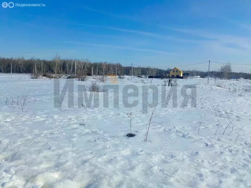 Участок в Саратов, посёлок Большая Кумысная поляна (6 м) - Фото 2