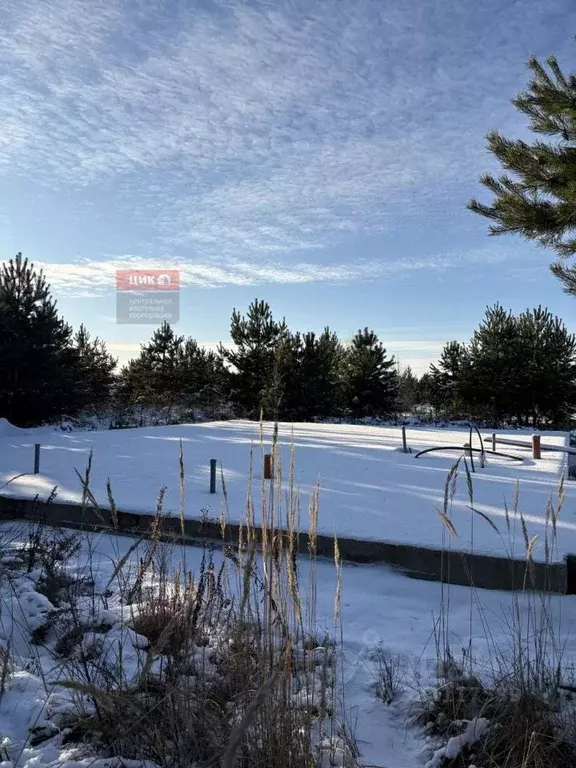 Участок в Рязанская область, Рязанский муниципальный округ, д. Полково ... - Фото 1