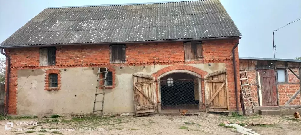 Дом в Калининградская область, Черняховский муниципальный округ, пос. ... - Фото 1
