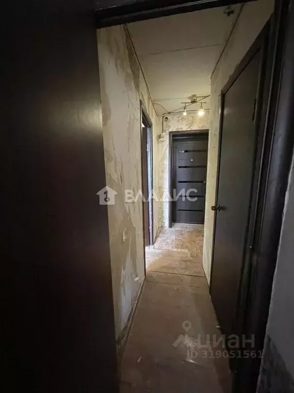 1-к кв. Воронежская область, Воронеж ул. Героев Сибиряков, 53 (29.2 м) - Фото 1