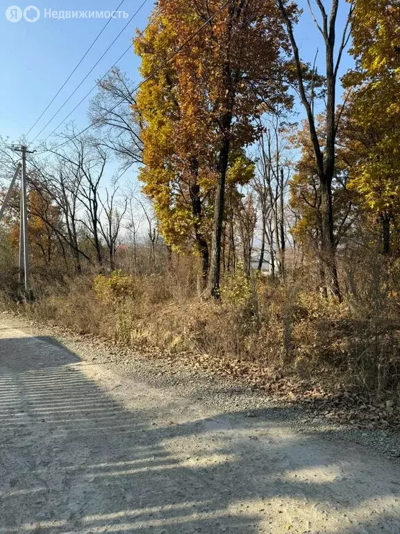 Участок в Приморский край, Артём (8 м) - Фото 1