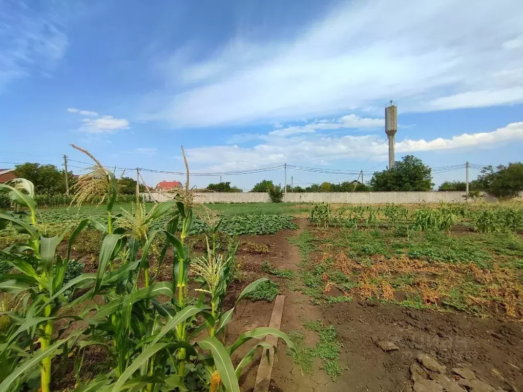 Участок в Краснодарский край, Краснодар Копанской хут., ул. Березовая, ... - Фото 1