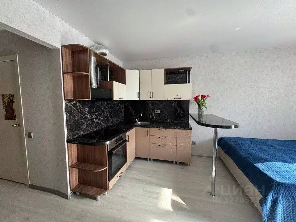 Студия Свердловская область, Екатеринбург муниципальное образование, ... - Фото 2