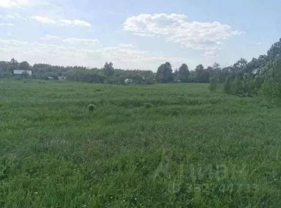 Участок в Московская область, Коломна городской округ, д. Чиликино  ... - Фото 2
