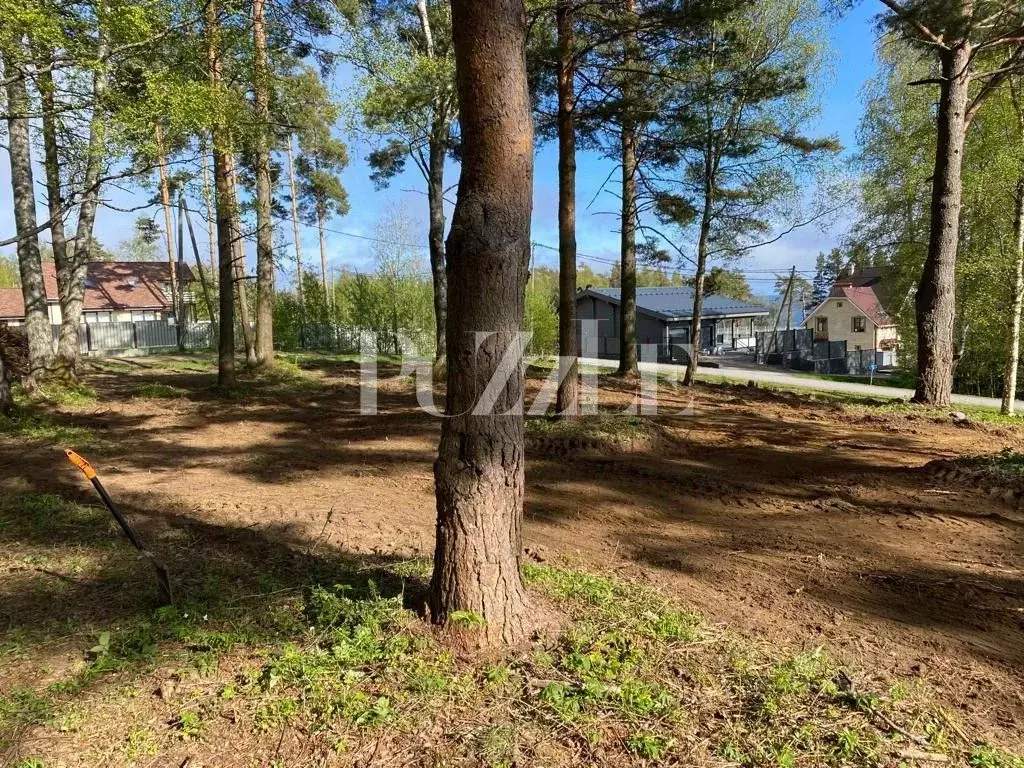 Участок в Ленинградская область, Выборгский район, Полянское с/пос, ... - Фото 2