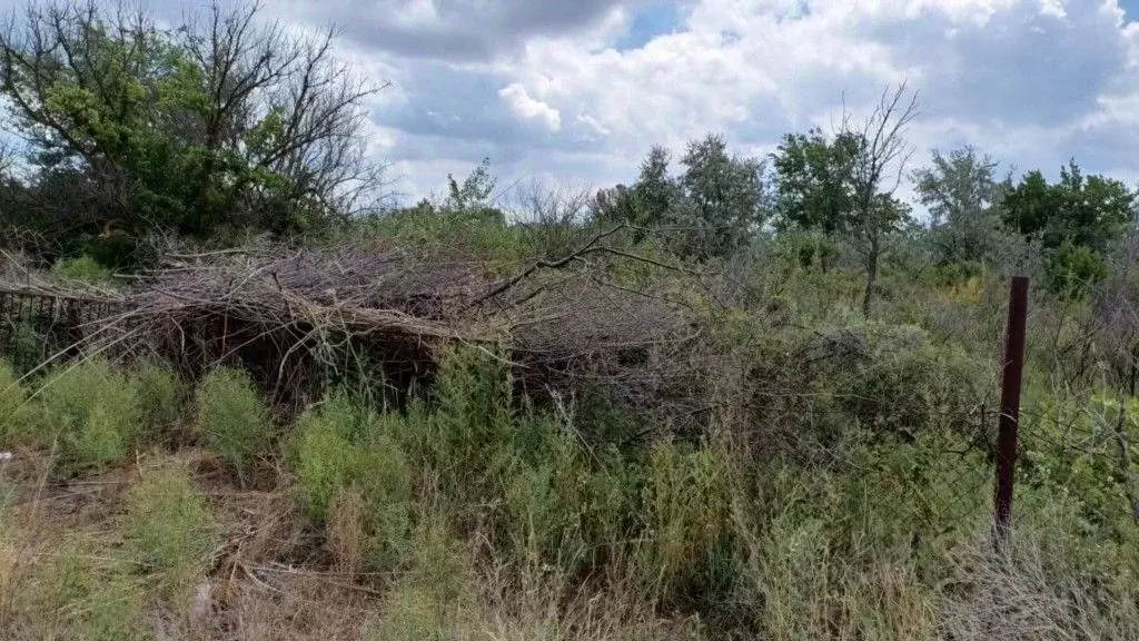 Участок в Астраханская область, Камызяк Южное СНТ, 322 (6.05 сот.) - Фото 0