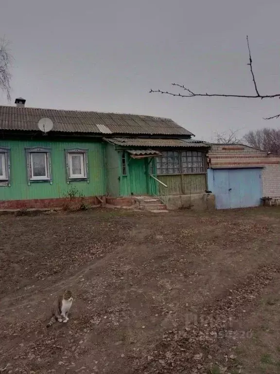 Дом в Воронежская область, Нижнедевицкий район, Верхнетуровское с/пос, ... - Фото 1