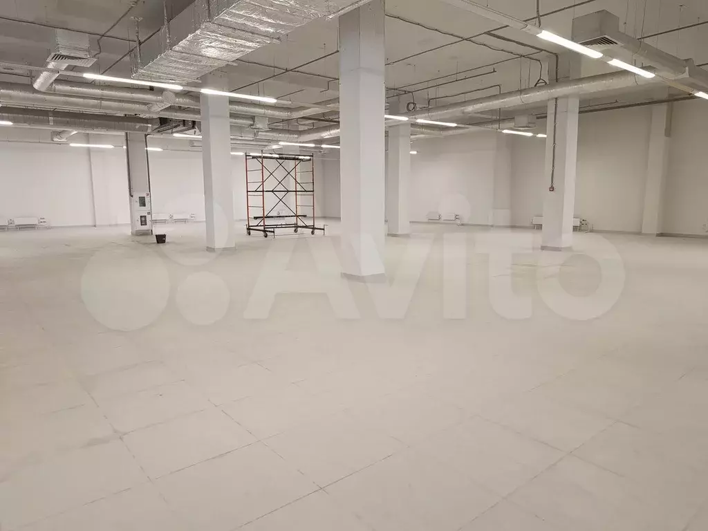 Свободного назначения. Аренда от 250м, 350 м - Фото 1