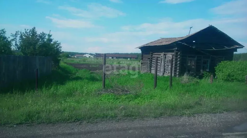 Участок в Свердловская область, Богданович городской округ, с. ... - Фото 1