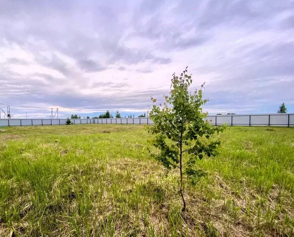 Участок в Московская область, Раменский муниципальный округ, 30388 ... - Фото 2